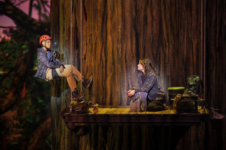 Redwood ; Broadway ; Khaila Wilcoxon ; Nederlander Theatre ; Idina Menzel ; Tina Landau ; Sequioa Musical ;